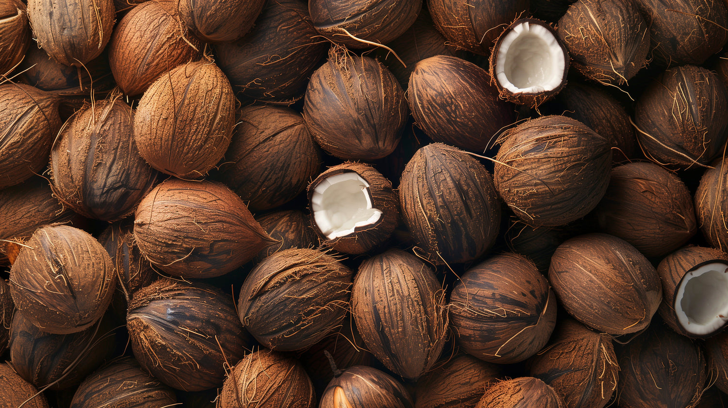 Don Victor® Coconut Products